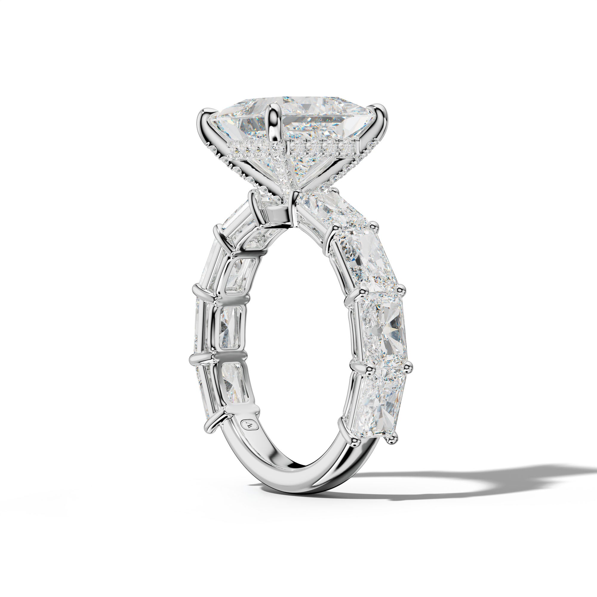 Raelynn Princess Cut Engagement Ring With East West Radiant Side Stones