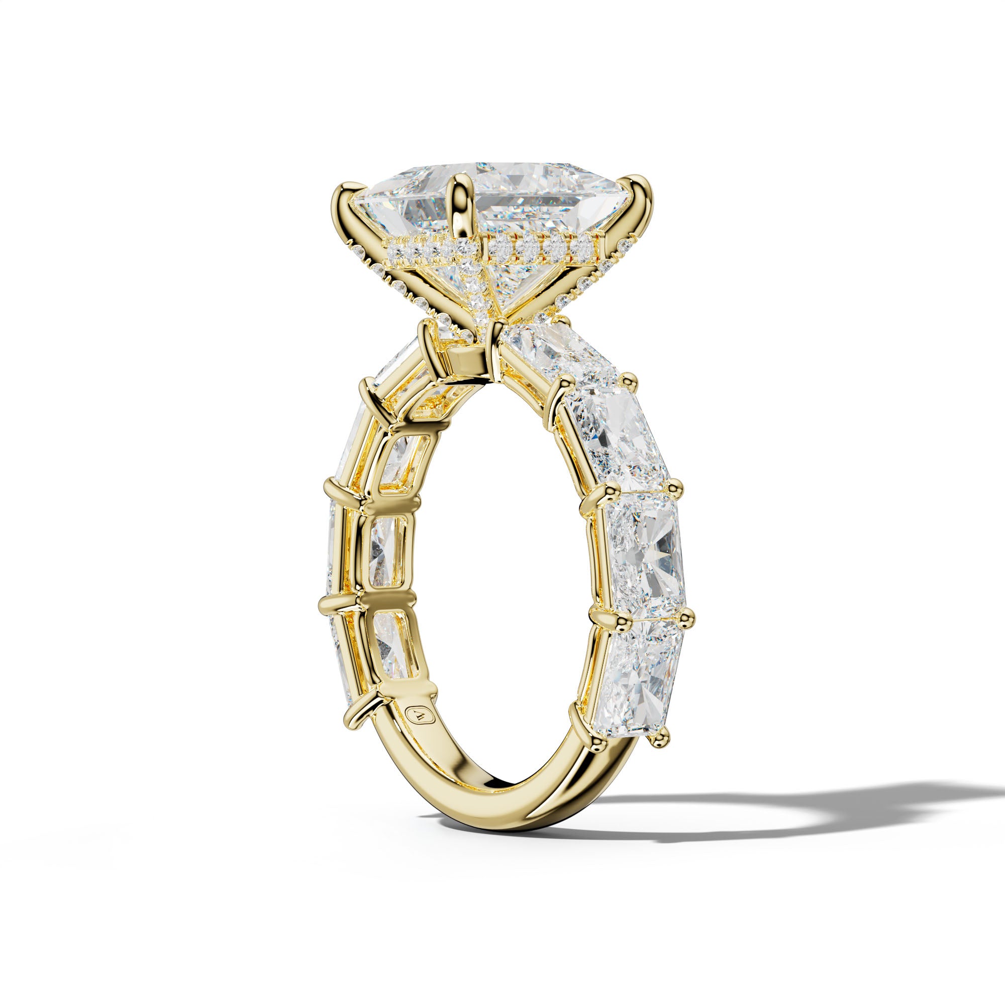 Raelynn Princess Cut Engagement Ring With East West Radiant Side Stones